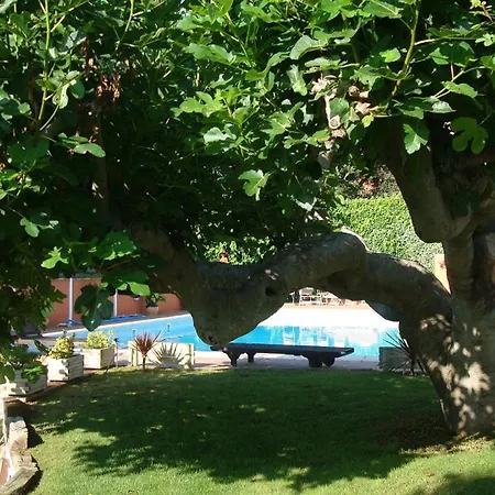 Comarquinal Bioresort Penedes -